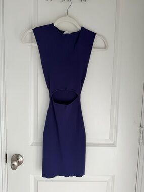 Purple Aritzia Dress